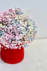 Gubojos gėlių dėžutė "Bubble gum"